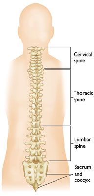 The Anatomy of Lower Back Pain, Low Back Pain